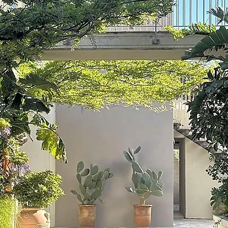 Ancora 3* Pollica